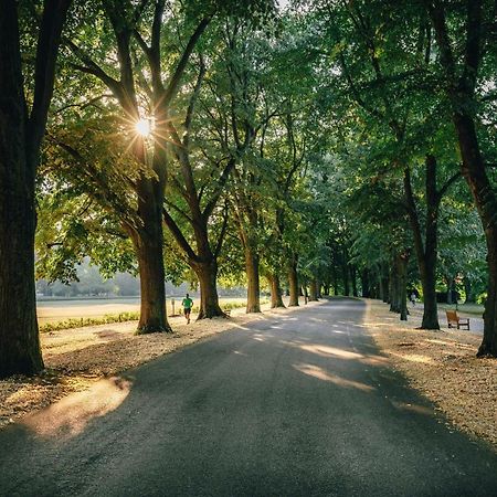 Allee Apartment Baden-Baden Exteriér fotografie