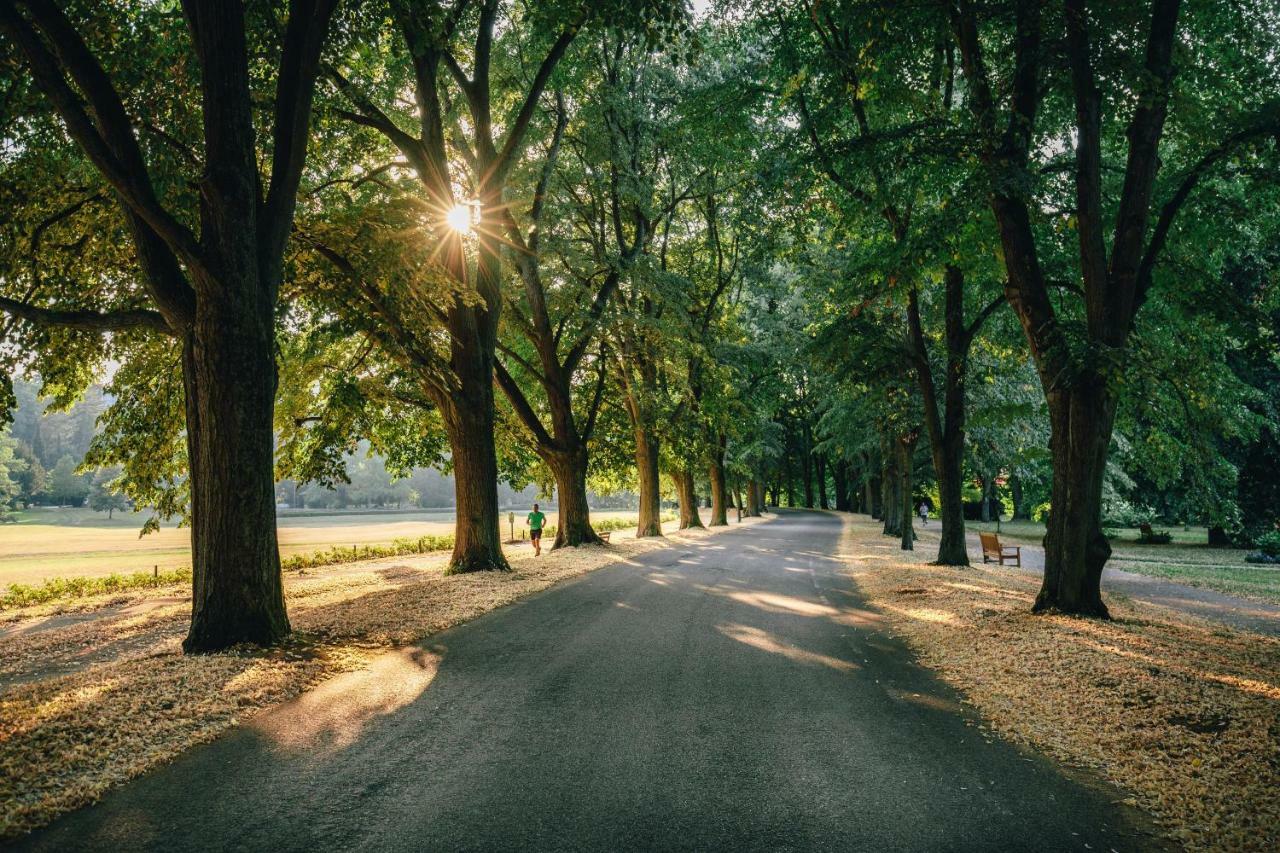 Allee Apartment Baden-Baden Exteriér fotografie